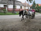 IMG_4206.JPG